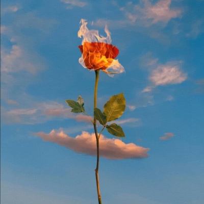 B体育旧版本官网下载苹果