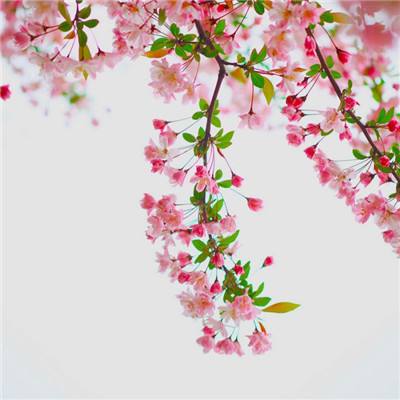 B体育旧版本官网下载苹果